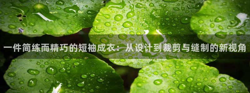 乐发彩票app平台