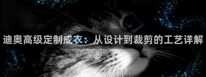 乐发彩票平台wx17 com