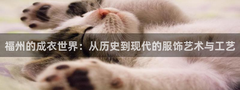 乐发III平台最新版本更新内容