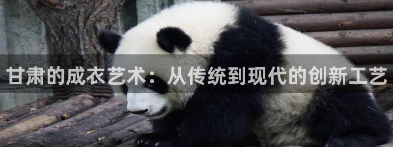 发乐发彩票平台注册