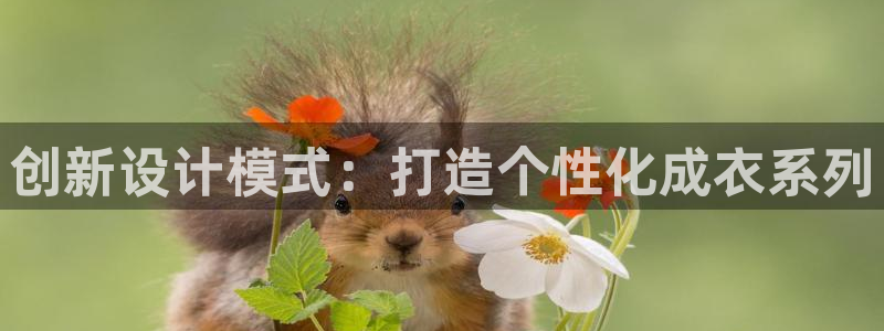 众乐发圈平台