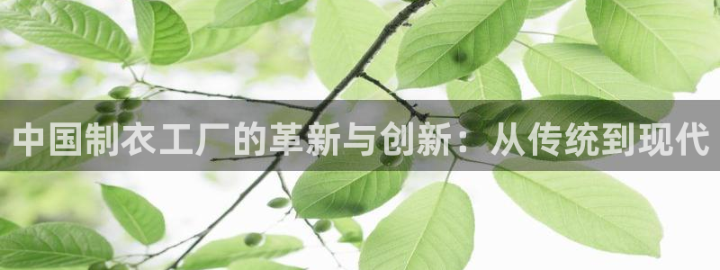 发乐发彩票平台注册