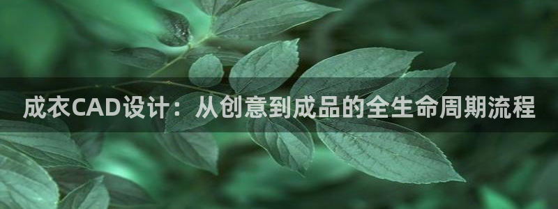 乐发传媒是怎样的平台