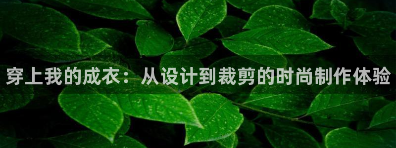 乐发平台邀请码是多少啊