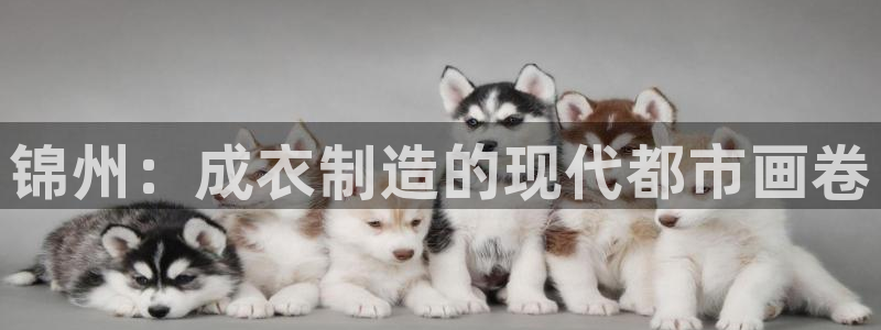 发乐发彩票平台注册码