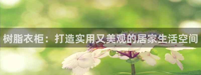 乐豪发游戏平台