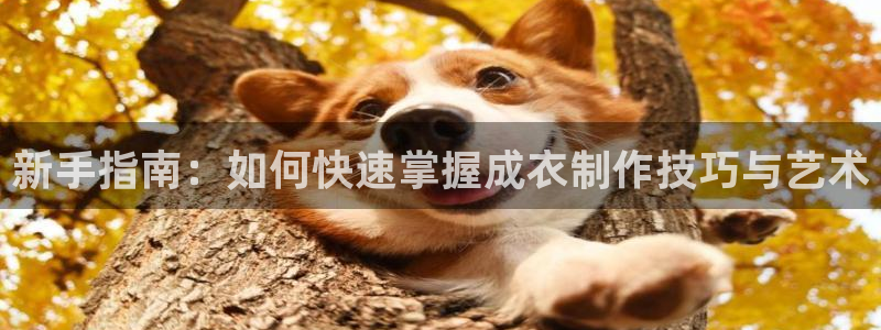 乐发平台怎么样知乎赚钱