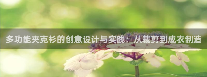 乐发vll彩票平台合法