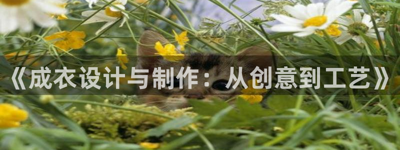 乐发平台怎么样知乎推荐