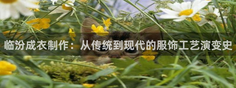 乐发彩票最新平台