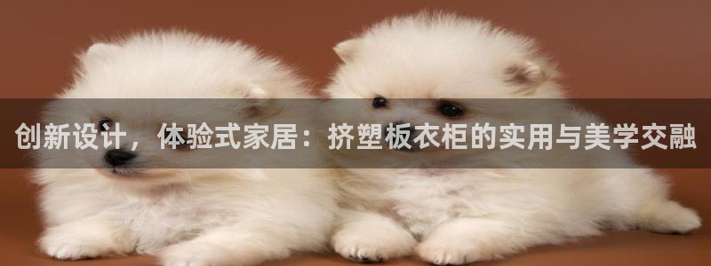 乐发彩票最新平台app