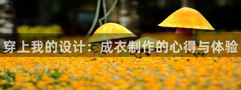 乐发111彩票平台下载