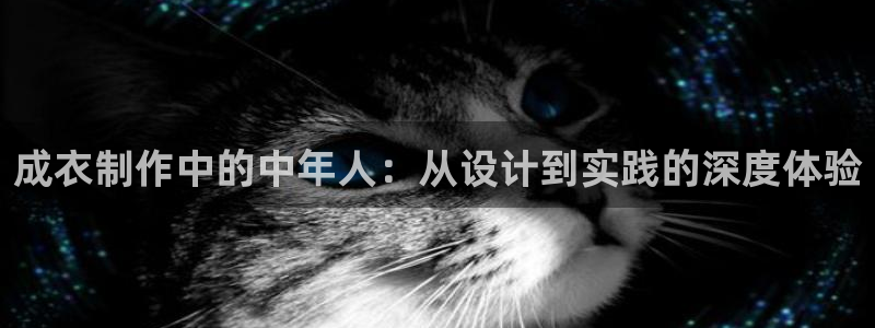 乐发II平台官方