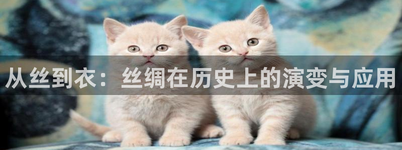 发乐发彩票平台注册码