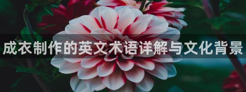 乐发平台靠谱吗