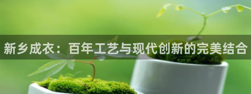 乐发平台注册资金多少