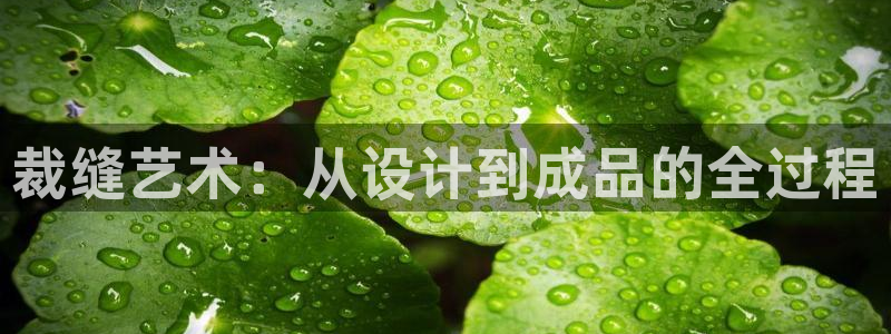 乐发平台官网邀请码