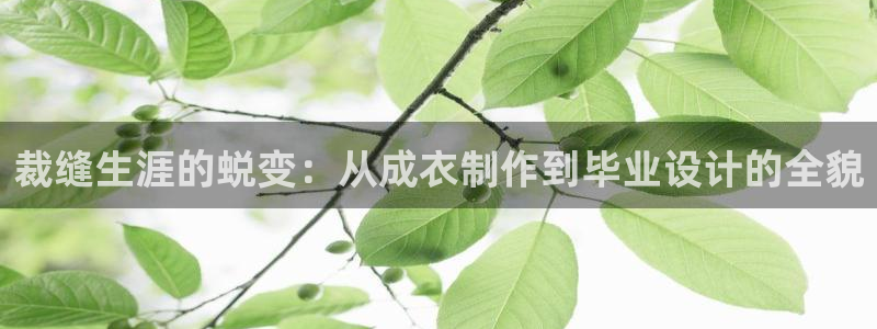 乐发传媒是正规平台吗
