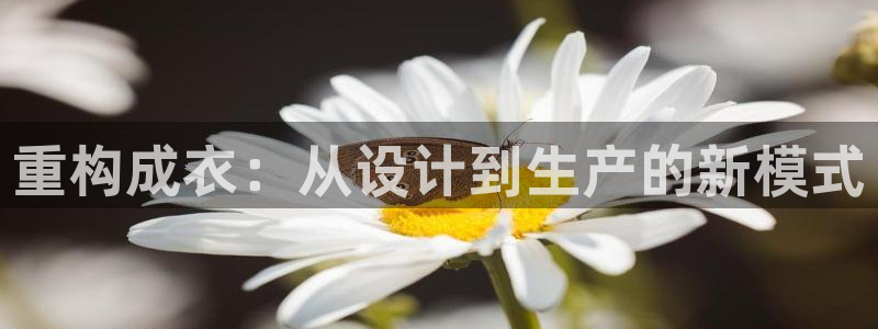 乐发1彩票平台下载