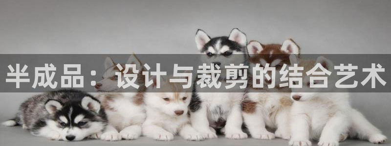 乐发平台官网邀请码