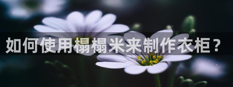 乐发xl彩票平台正规不