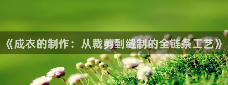 发乐发彩票平台注册