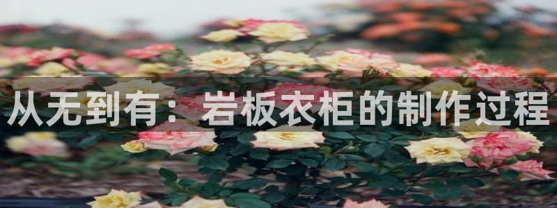 乐发vll平台靠谱嘛