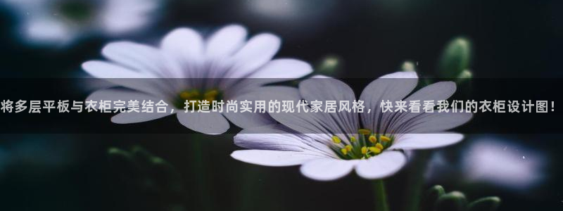 乐发平台网址是什么