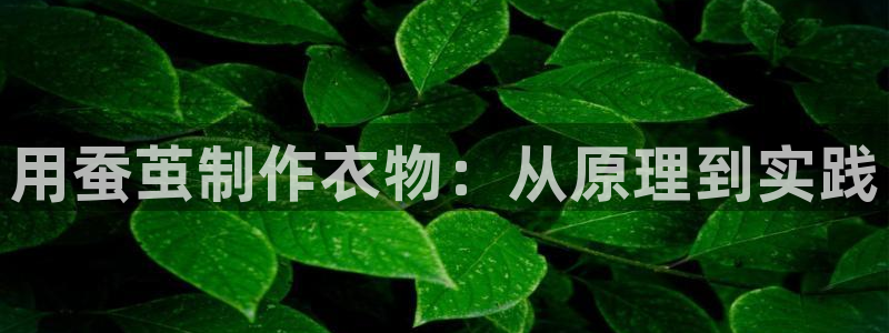 乐发平台手机版下载