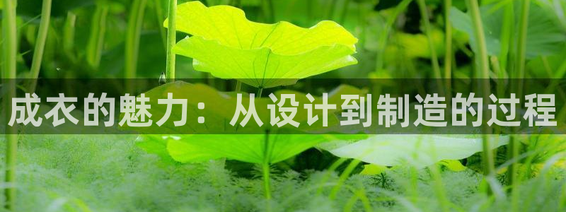 乐发传媒是怎样的平台