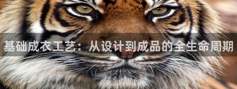 乐发彩票平台是真的吗