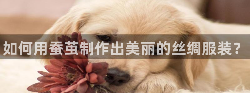 乐发平台怎么注销账户啊