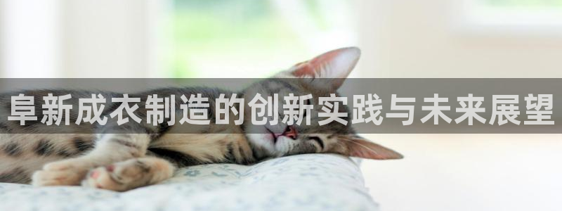 乐发平台邀请码是多少号