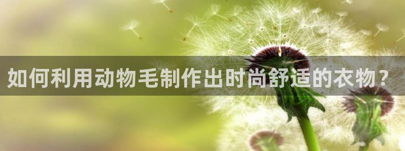 乐发平台是干什么的