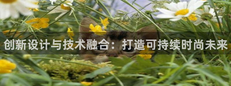 乐发彩票是什么平台啊