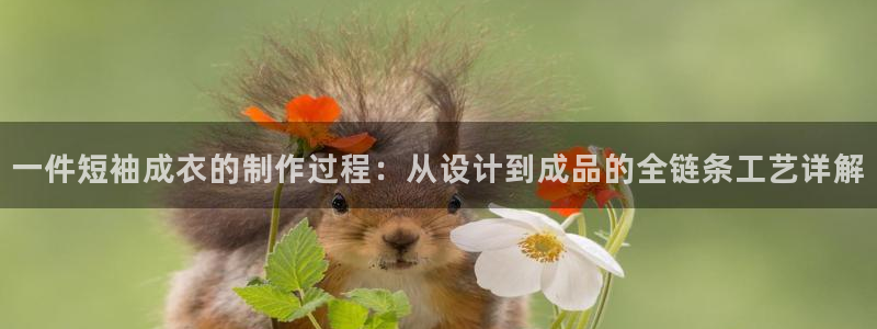 乐总105发卡平台