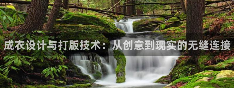 宾果彩票平台乐发