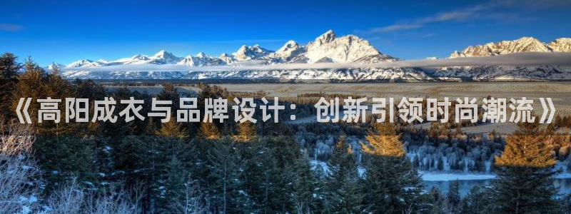 乐发大小单双平台