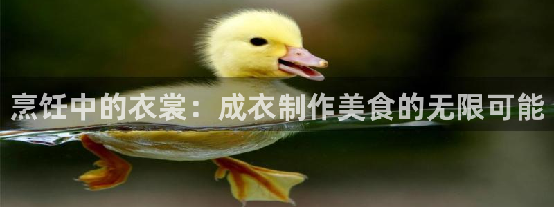 乐发app下载平台官网